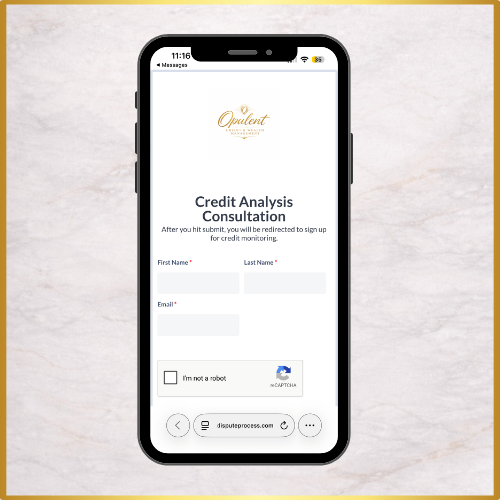 Credit Analysis Consultation